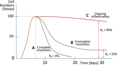 Inflammation Graph image