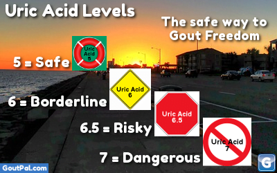 Uric Acid Levels graphic